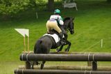 horse jumping poles 1